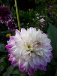 20200810_192044.jpg