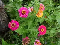 DSC01224.webp