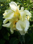 20200815_111450.jpg