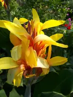 20200815_111438.webp