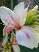 20200812_174200.webp