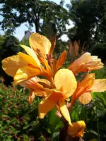 20200815_111542.webp