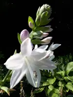 20200815_130208.webp