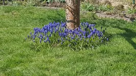 20200406_140516.jpg