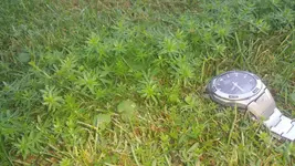 20200815_203416.jpg