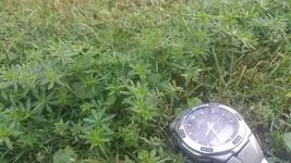 20200815_203449.webp