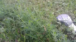 20200815_203519.webp