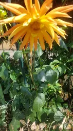 20200816_145616.webp