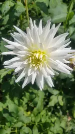 20200816_145611.webp