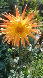 20200816_144314.webp