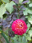 20200815_182400.jpg