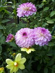 20200815_181906.jpg