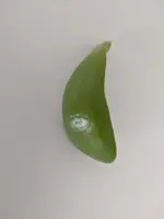 2020-08-16 09.40.01.webp