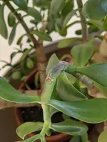 2020-08-16 09.40.11.webp