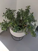 2020-08-16 09.40.17.webp