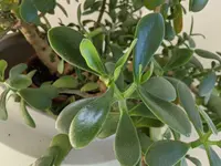 2020-08-16 09.40.43.webp