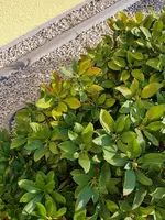 20200810_080536.jpg