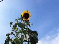 2020-08-17 15.58.22.webp