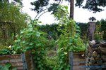 comp_DSC09331.jpg