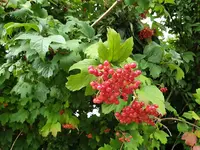 20200817_185534_resized.webp