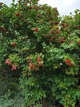20200817_185550_resized.jpg