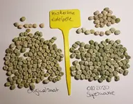 20200817_220634.webp 20200817_220634.webp