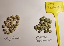 20200817_215848.webp 20200817_215848.webp