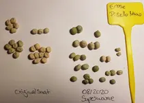 20200817_215909.webp 20200817_215909.webp