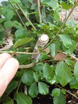 20200818_142713.jpg