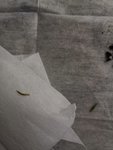 IMG_20200819_193024.jpg