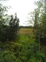 SAM_1907.webp