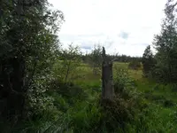SAM_1911.JPG