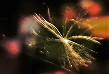 2020smn08.jpg