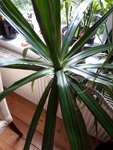 20200820_124655.jpg