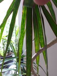 20200820_124715.jpg