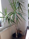 20200820_124541.jpg