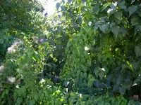 20_08_2020 (13).webp