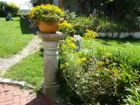 DSC01227.webp