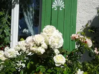 DSC01228.webp