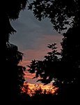 20200820_205033.jpg