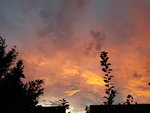 20200820_205539.jpg