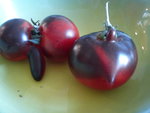 P1020166.JPG