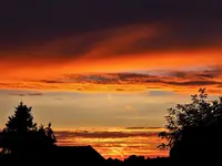 image002.webp