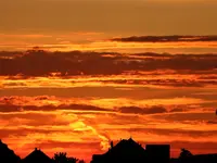 image003.webp