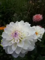20200818_171046.webp