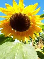 20200816_171402.webp