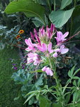 20200819_185324.jpg