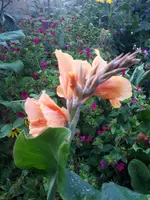 20200820_201004.webp