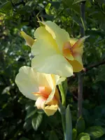 20200819_175644.webp