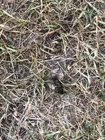 20200821_111401648_iOS - Kopie.webp